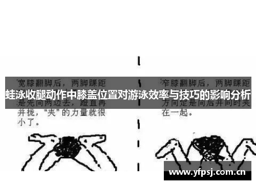 蛙泳收腿动作中膝盖位置对游泳效率与技巧的影响分析